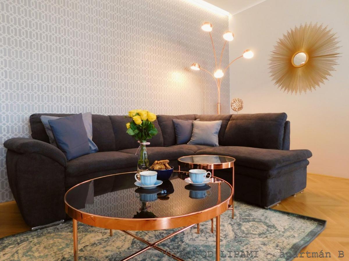 Vila Pod Lipami Apartman Bruntál Kültér fotó